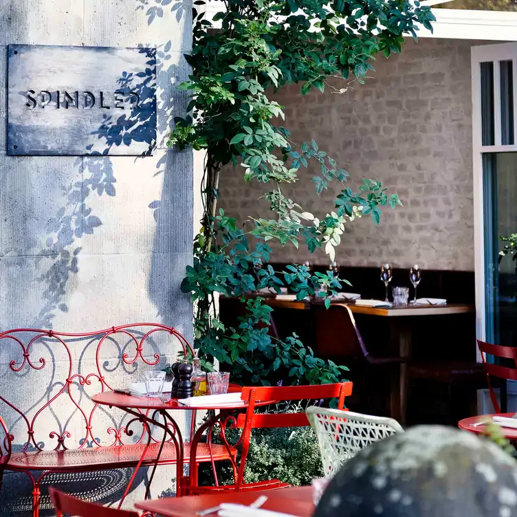 Blick vom begrünten Innenhof in das Restaurant Spindler hinein – eines der besten Restaurants mit Außenplätzen in Berlin.