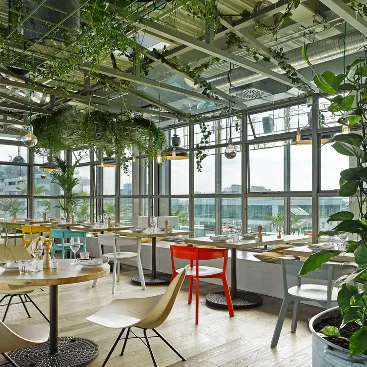 Begrünter Wintergarten mit Blick über die Stadt im NENI, einer der schönsten Dachterrassen in Berlin.