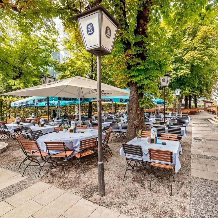 Während des Oktoberfests in München 2023 kann das Bier im Löwenbräukeller im großen, grünen Biergarten genossen werden.