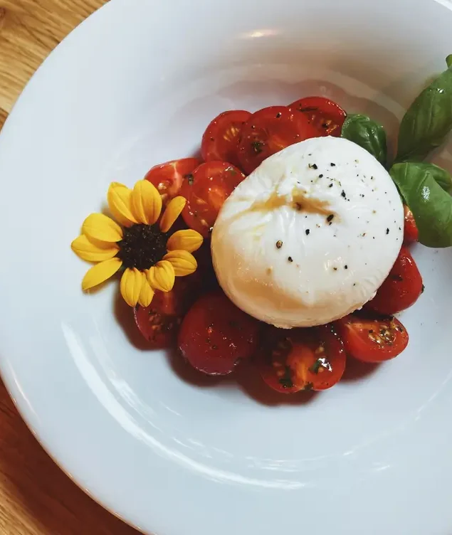 Burrata und Tomaten in der L’Antica da Michele Pizzeria, einem der besten italienischen Restaurants in Hamburg.