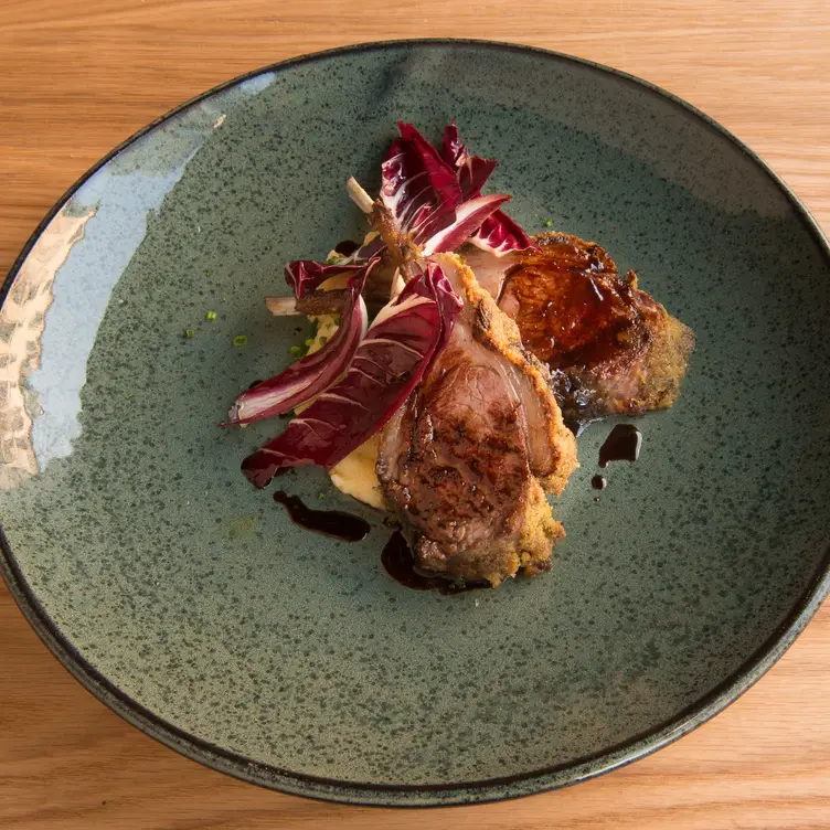 Fleischgericht mit Salatbeilage und Dressing im Vetro Vero, einem der besten italienischen Restaurants in Frankfurt.﻿