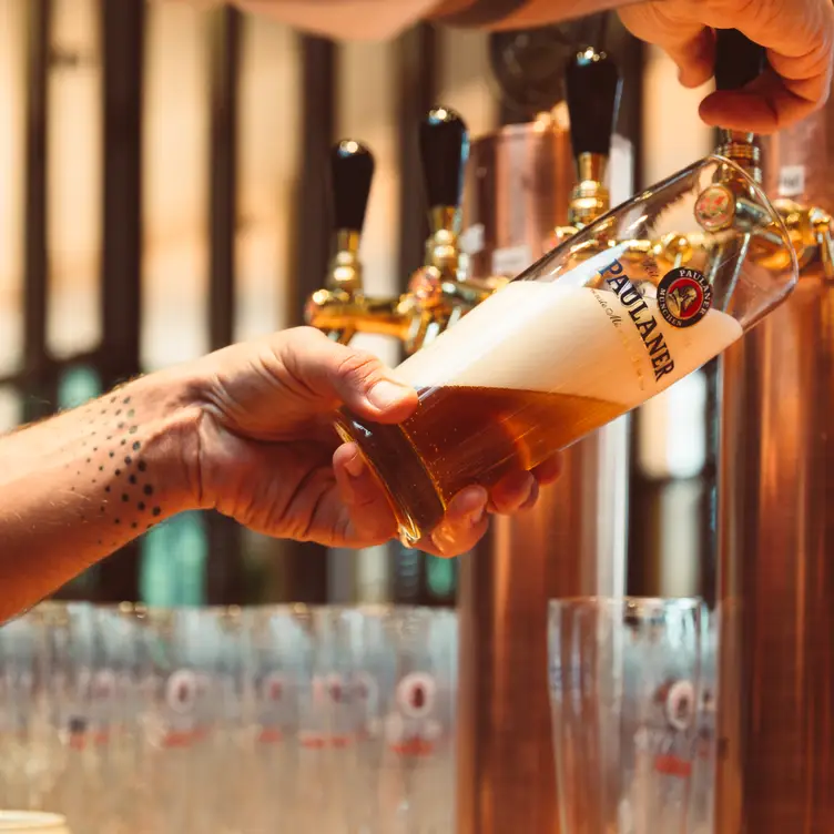 Das hauseigene Bier wird frisch aus den Kupferrohren gezapft im Paulaner am Nockherberg, einem der besten bayerischen Restaurants in München.