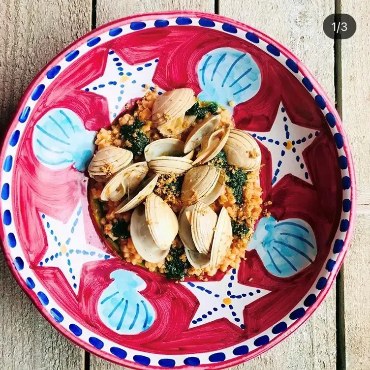 Schön angerichtetes Meeresfrüchte-Gericht mit Muscheln und Risotto in der CARUSO Pastabar, einem romantischen Restaurant in Köln.