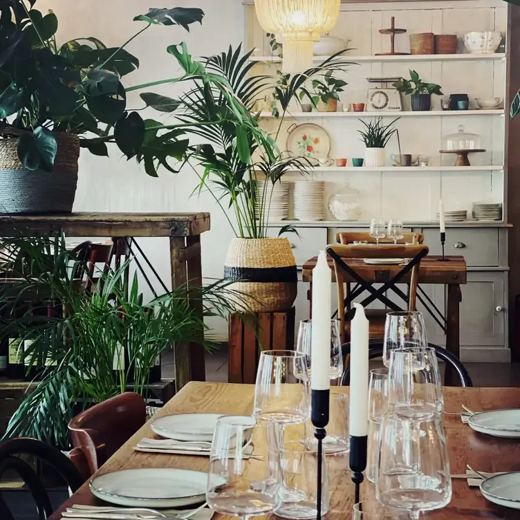 Das Interieur des Haus Müller mit hellen Wänden, Pflanzen und einem rustikalen Holztisch sorgt für ein romantisches Ambiente in diesem Restaurant in Köln.