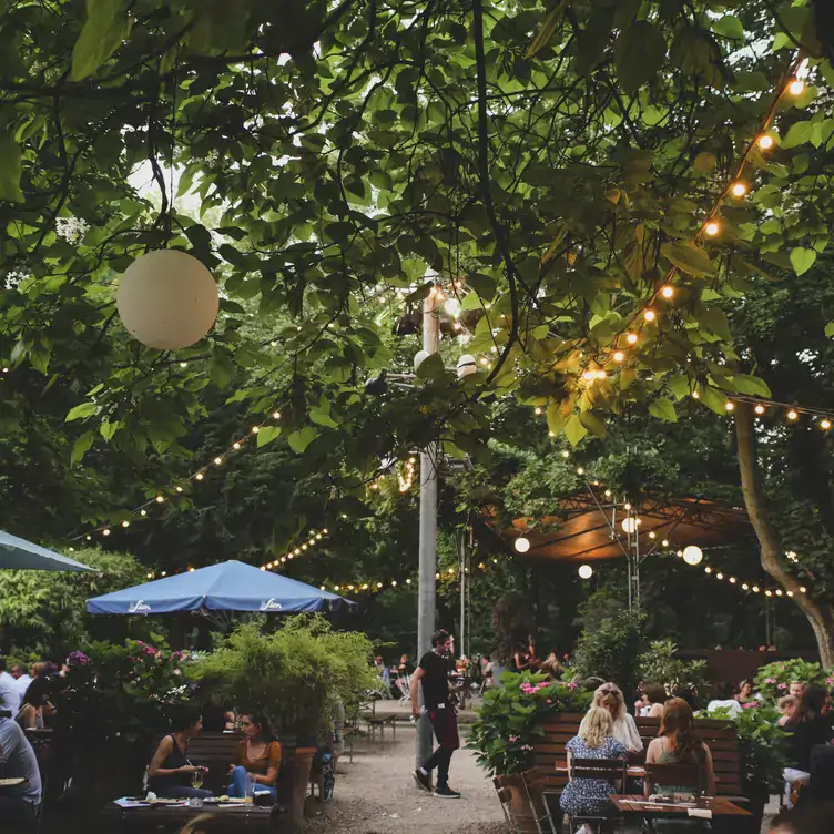 Der Außenbereich des Stadtgarten Restaurants mit Bäumen und Sitzgelegenheiten macht ihn zu einem der schönsten Biergärten in Köln.