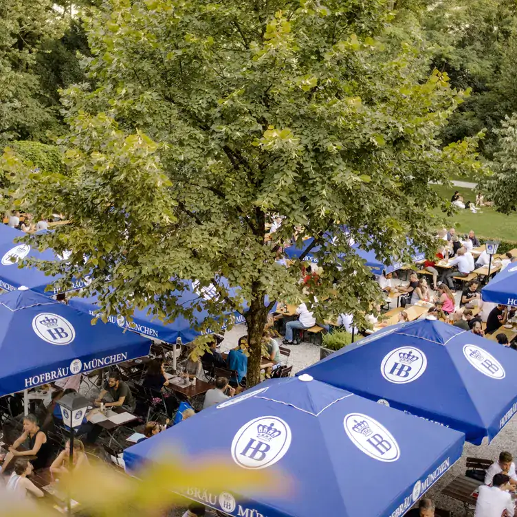 Außenbereich mit Sonnenschirmen und Bäumen in einem der besten Restaurants mit Biergarten in München.